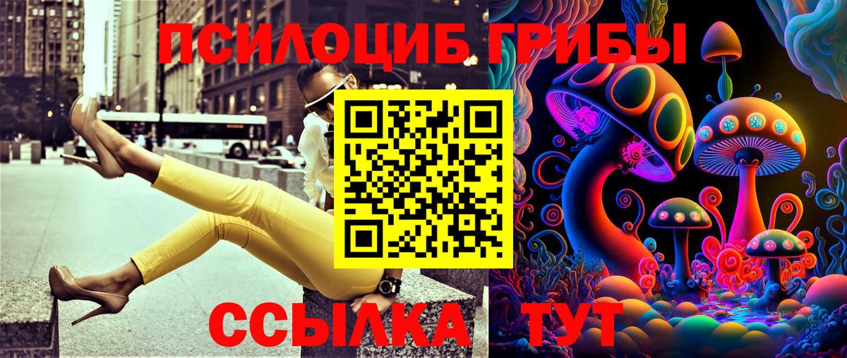 Кушва  Галлюциногенные грибы Psilocybe  как найти закладки  Вход с VPN  Псилоцибиновые грибы прущие грибы 